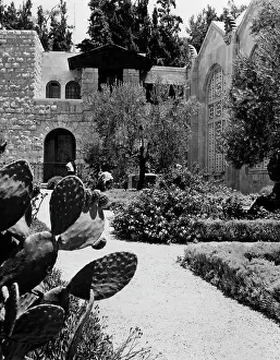 Gethsemane: THE GARDEN OF GETHSEMANE