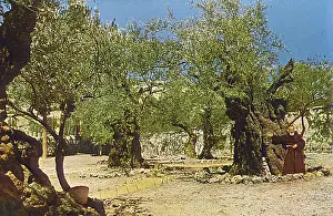 Gethsemane: Garden of Gethsemane, Jerusalem