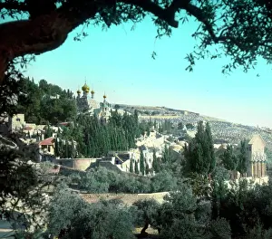 Gethsemane: Garden of Gethsemane - An O E Simmonds view