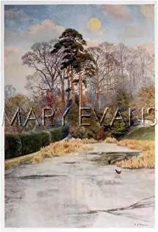 Golder: GARDEN/GOLDER'S HILL
