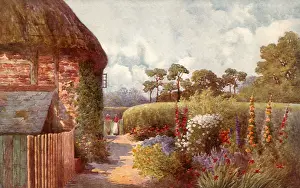 Converses: Garden, Hedge, Stone