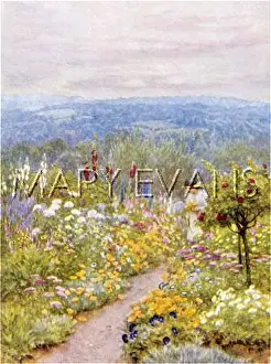 Hollyhocks: GARDEN/KENTISH 1903