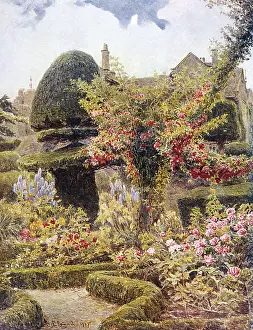 Topiary: GARDEN/LEVENS HALL 1911