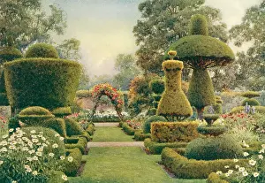 Topiary: GARDEN/LEVENS HALL 1911