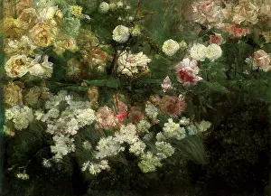 Carnations: Garden in May