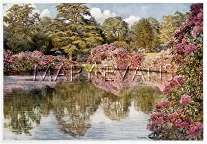 Ebury: GARDEN/MOOR PARK 1908