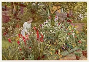 Spooner: Garden - Mrs Spooner 1908