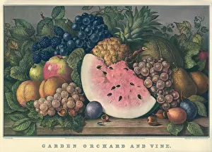 Ripe: Garden Orchard And Vine