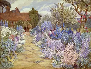 Campanulas: Garden Path