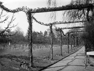 Pergola: GARDEN PERGOLA