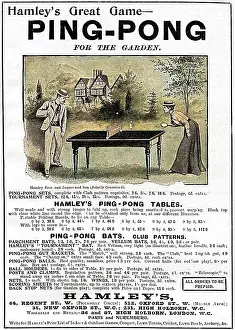 Pong: Garden Ping Pong, 1901