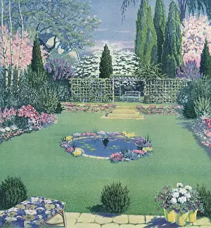 Dominated: Garden Pond