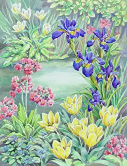 Nots: Beside the Garden Pond ' primulas, irises, tulips