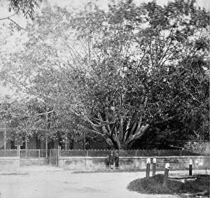 H.m.s: Front garden and roadside