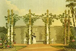 Buonarotti: A Garden Seat