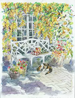 Bristow: Garden Seat under Laburnum Tree with cat