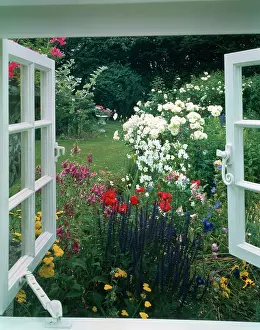 Scowen: Garden seen from white window