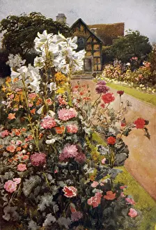 Herbaceous: Garden - Shakespeare - 20th century