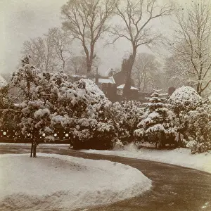Auerbach: Front garden in the snow, Ealing, West London