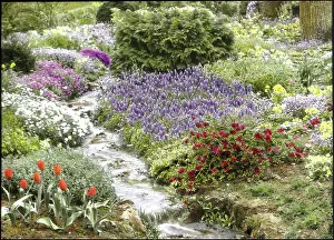 Wold: Garden detail with stream at Abbotswood, Gloucestershire