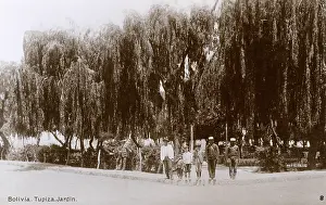 Potosi: The Garden at Tupiza, Bolivia