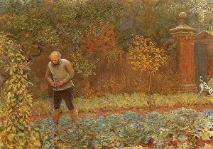 Tends: Gardener and Cabbages