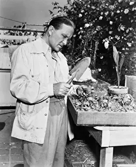 Examinations: Gardener examining seedlings