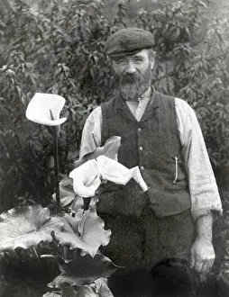 Arum: Gardener pictured with his prize Arum Lily