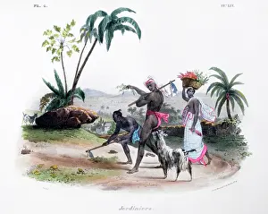 Attending: Gardeners attending a vegetable plot in central