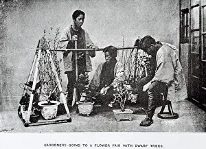 Piggot: Gardeners with bonsai