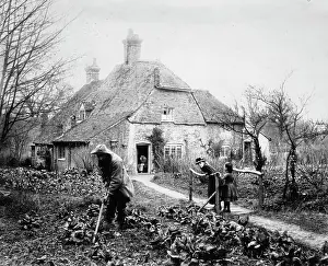 1895copy1: Gardening 1895