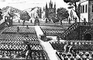 Curiosa: Gardening