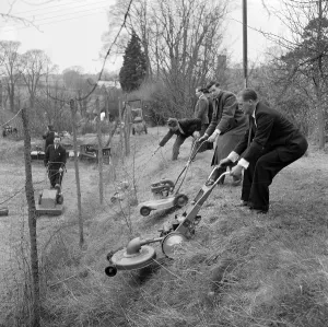 Lawnmower: Gardening equipment trials