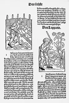 Xylography: Gardening and field work