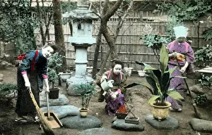 Bonsai: Gardening in Japan