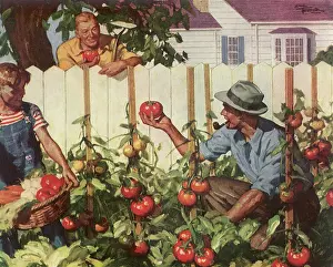 Compare: Gardening Neighbors