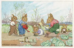 Trug: Gardening ? rabbits