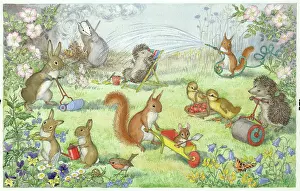 Hedgehogs: Here We Go Gardening - rabbits, squirrels, hedgehogs etc