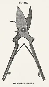 Secateurs: GARDENING SECATEUR