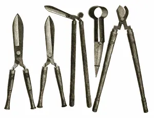 Horticultural: Gardening Shears