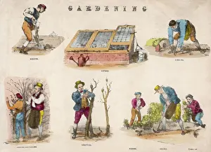 Nailing: GARDENING TASKS
