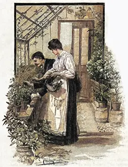 Greenfly: Gardening tasks, pest control, 1891