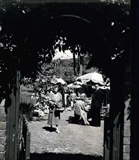 Stewards: Gardens of Chartwell, Kent, open to the public