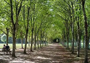 Allee: Gardens, Chateau du Plessis-Bourre, Ecuille