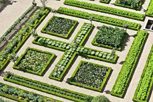 Indre: Gardens of the Chnteau de Villandry