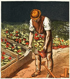 Midst: GARDENS/OPERATIONS/1867