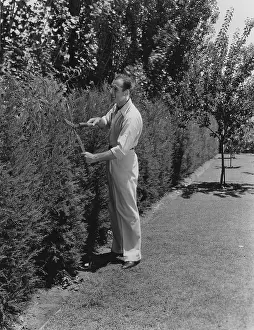 Cultivating: Gardner prunes bushes