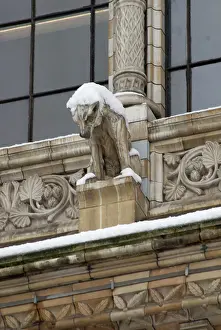 Gargoyle: Gargoyle