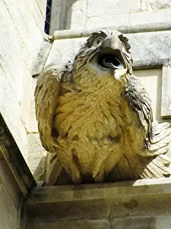 Gargoyle: Gargoyle at Gloucester Cathedral, Gloucestershire