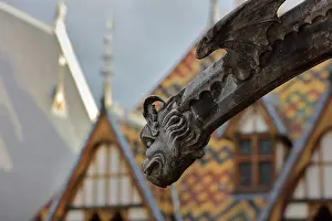 Beaune: Gargoyle, Hospices de Beaune, Beaune, Burgundy, France